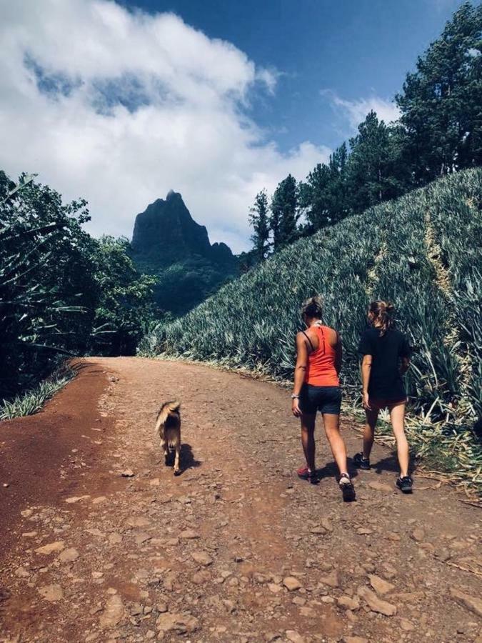 Fare Haurevaiti Moorea Paopao Eksteriør bilde
